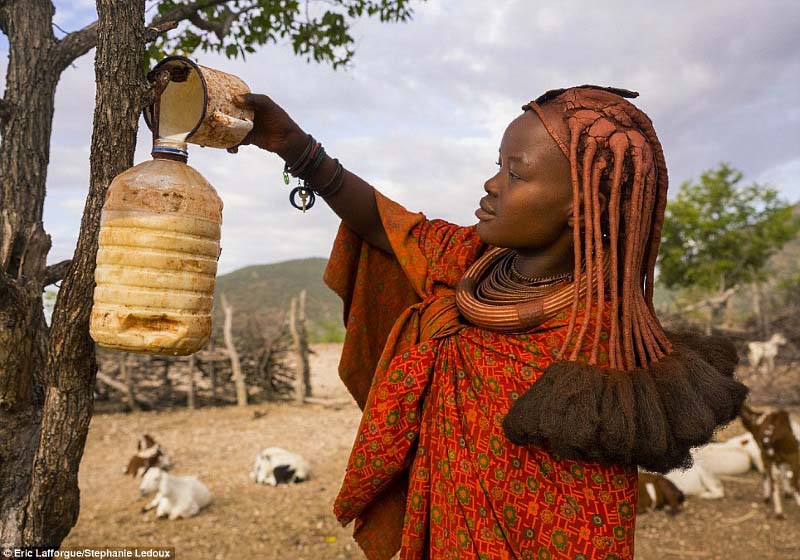  Women do most of the jobs in and around the home, including milking the goats and storing their milk in jerrycans - some are made from old bottles