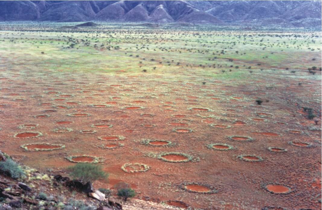 Namibia's fairy circles: One of Nature's Riveting Mysteries?